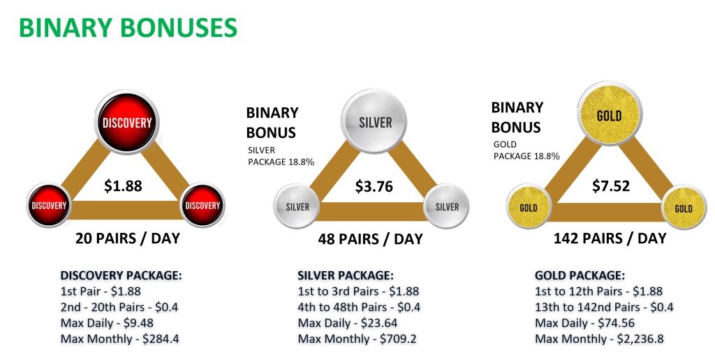 Enterprisers-Nextlevels-Binary-Bonus